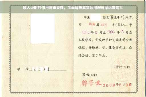 收入证明的作用与重要性，全面解析其实际用途与深远影响?✨