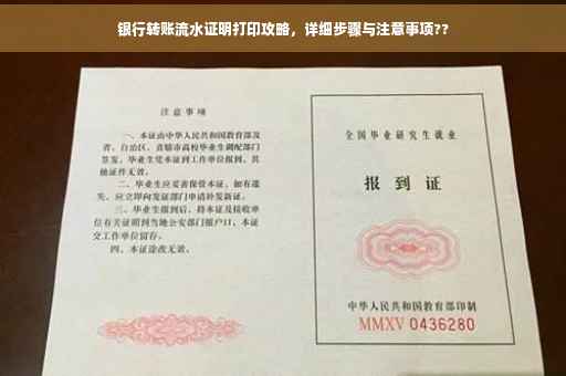银行转账流水证明打印攻略，详细步骤与注意事项??