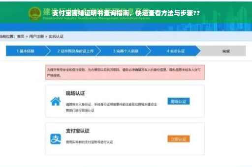 支付宝离婚证明书查询指南，快速查看方法与步骤??