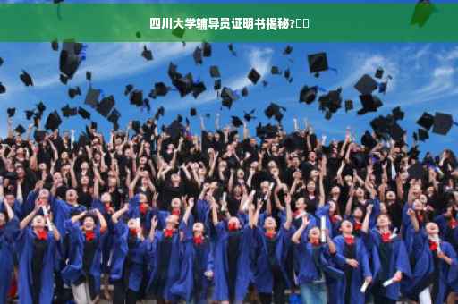 四川大学辅导员证明书揭秘?⚡️