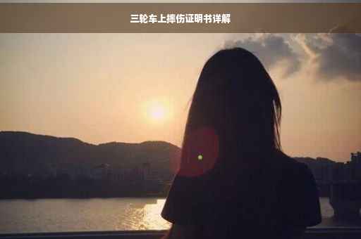 三轮车上摔伤证明书详解
