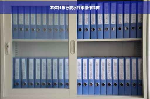 农信社银行流水打印操作指南