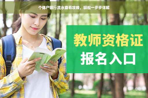 个体户银行流水查看攻略，轻松一步步详解