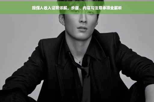 担保人收入证明详解，步骤、内容与注意事项全解析