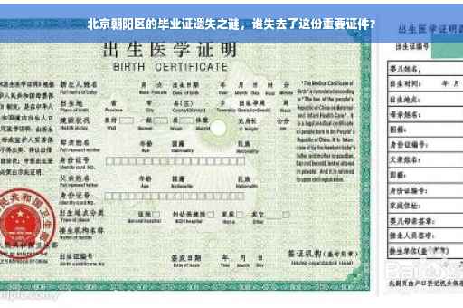 北京朝阳区的毕业证遗失之谜，谁失去了这份重要证件？