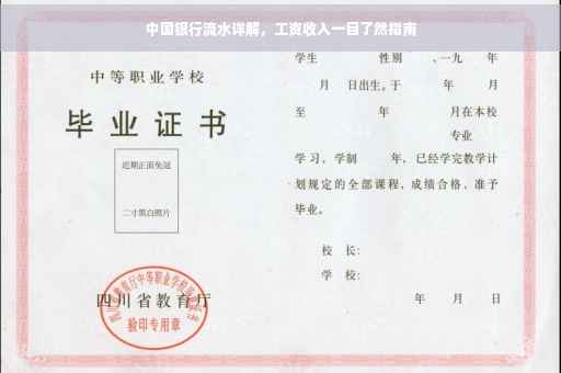 中国银行流水详解，工资收入一目了然指南