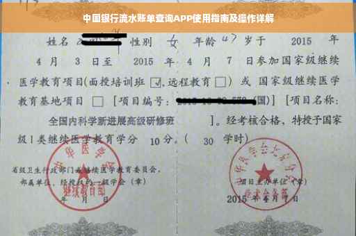 中国银行流水账单查询APP使用指南及操作详解
