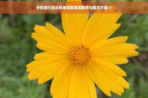 手机银行流水账单提取难题解析与解决方案??
