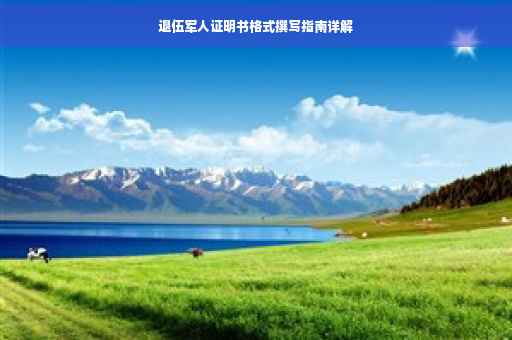 退伍军人证明书格式撰写指南详解