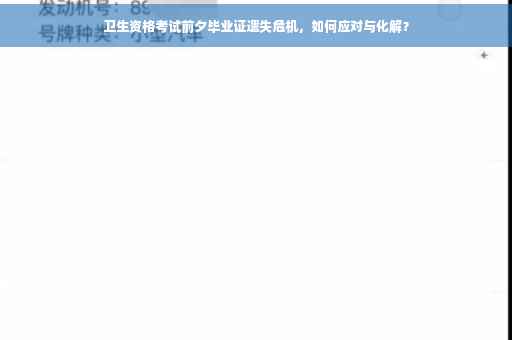 卫生资格考试前夕毕业证遗失危机，如何应对与化解？