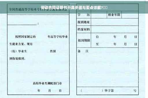 劳动合同证明书开具步骤与要点详解?⚡️