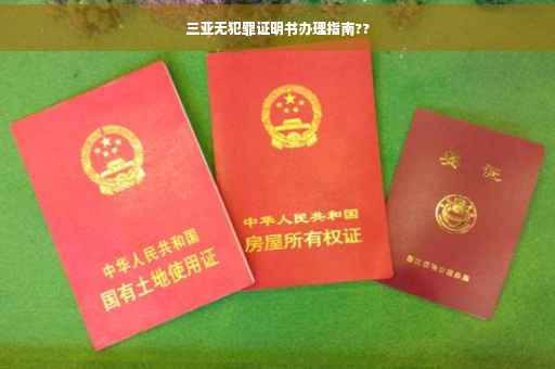 三亚无犯罪证明书办理指南??