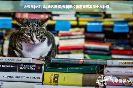 大专学位证书叫啥名字啊,专科学校有哪些要发学士学位证