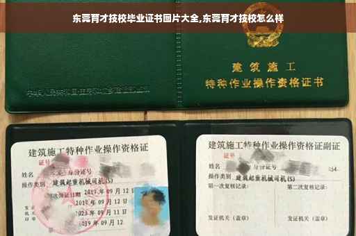 东莞育才技校毕业证书图片大全,东莞育才技校怎么样