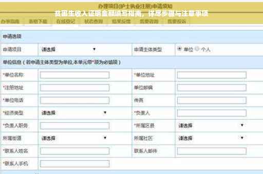 贫困生收入证明金额填写指南，详尽步骤与注意事项