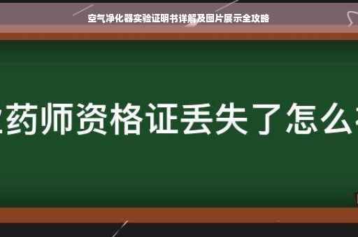 空气净化器实验证明书详解及图片展示全攻略