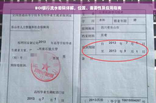BOI银行流水密码详解，位置、重要性及应用指南