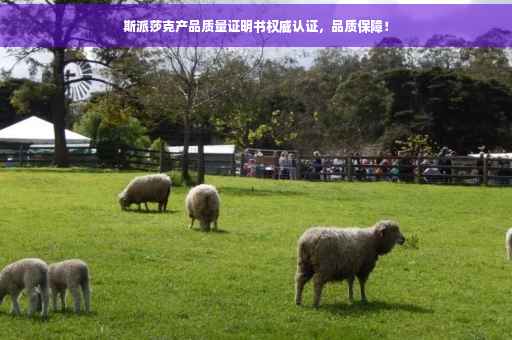 斯派莎克产品质量证明书权威认证，品质保障！