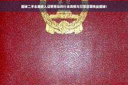 揭秘二手车商收入证明背后的行业真相与日常运营挑战揭秘！
