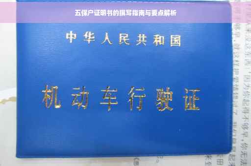 五保户证明书的撰写指南与要点解析