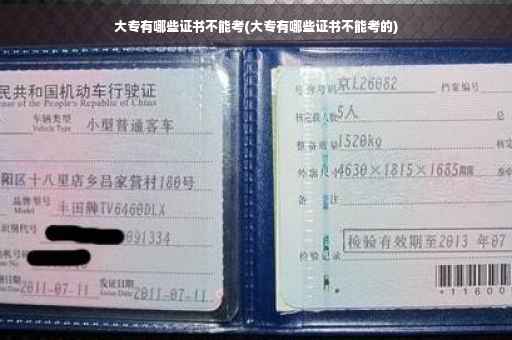 大专有哪些证书不能考(大专有哪些证书不能考的)