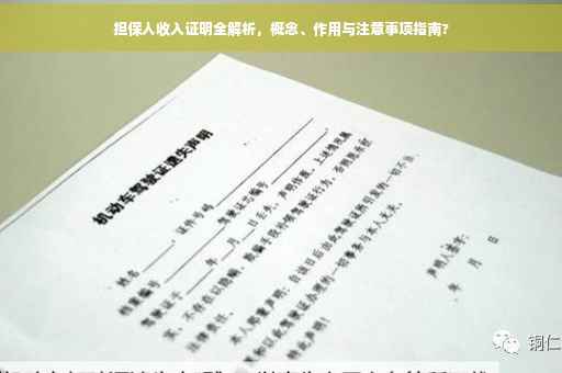 担保人收入证明全解析，概念、作用与注意事项指南?