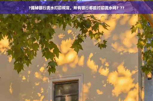 ?揭秘银行流水打印规定，所有银行都能打印流水吗？??
