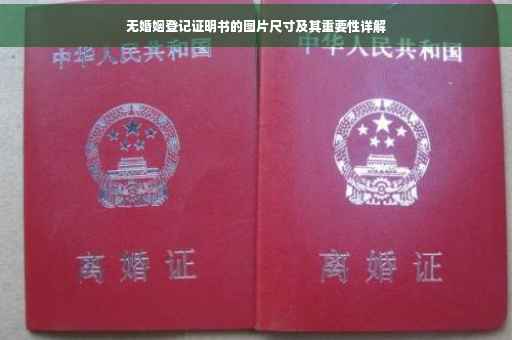 无婚姻登记证明书的图片尺寸及其重要性详解