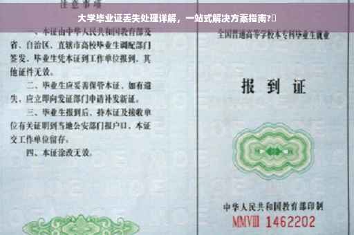 大学毕业证丢失处理详解，一站式解决方案指南?✨