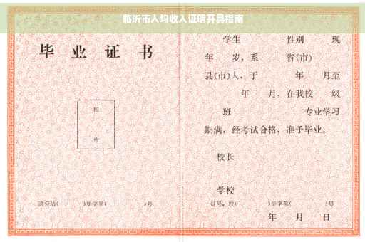 临沂市人均收入证明开具指南