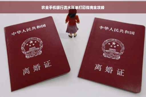 农业手机银行流水账单打印指南全攻略