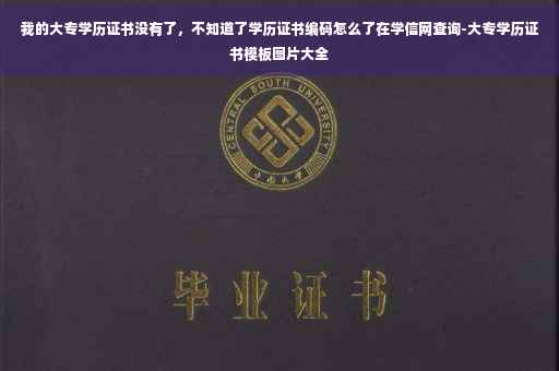 我的大专学历证书没有了，不知道了学历证书编码怎么了在学信网查询-大专学历证书模板图片大全