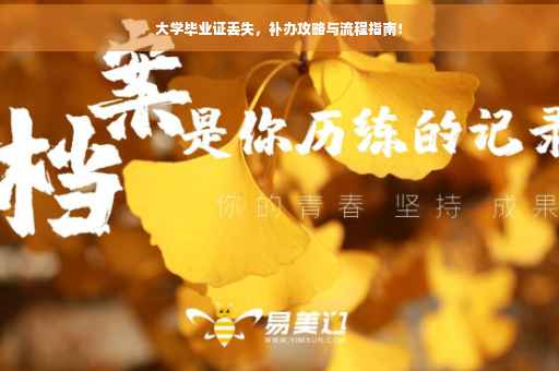 大学毕业证丢失，补办攻略与流程指南！