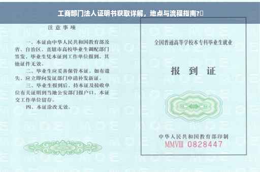 工商部门法人证明书获取详解，地点与流程指南?✨