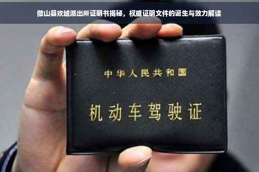 微山县欢城派出所证明书揭秘，权威证明文件的诞生与效力解读