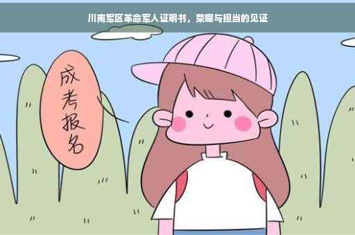 川南军区革命军人证明书，荣耀与担当的见证