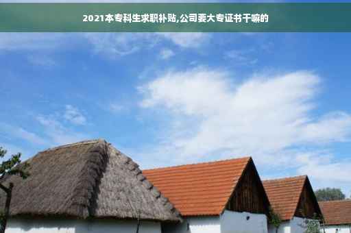 2021本专科生求职补贴,公司要大专证书干嘛的