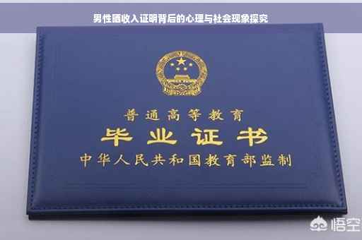 男性晒收入证明背后的心理与社会现象探究