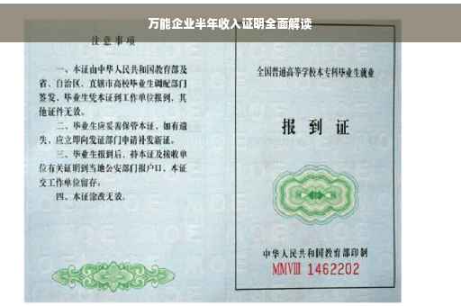 万能企业半年收入证明全面解读