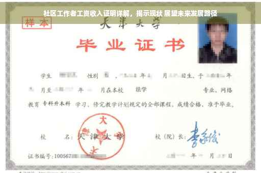 社区工作者工资收入证明详解，揭示现状 展望未来发展路径