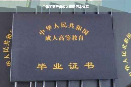 个体工商户低收入证明范本详解