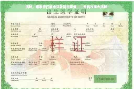揭秘，哪家银行流水贷款利率更低——省钱攻略大揭秘！