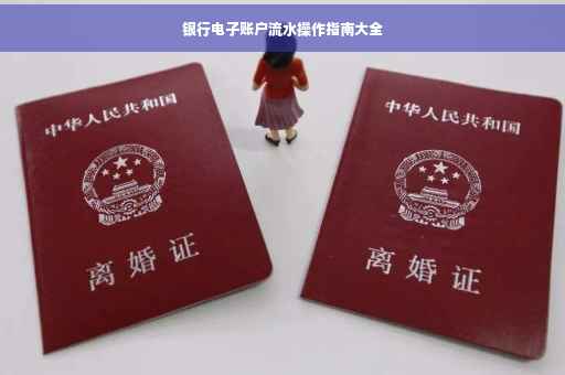 银行电子账户流水操作指南大全