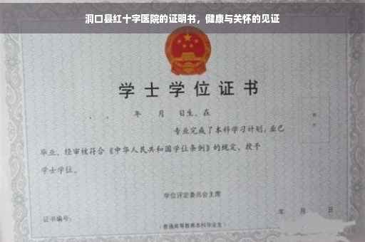洞口县红十字医院的证明书，健康与关怀的见证