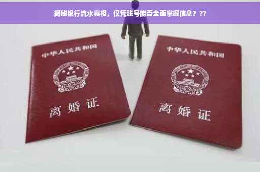 揭秘银行流水真相，仅凭账号能否全面掌握信息？??