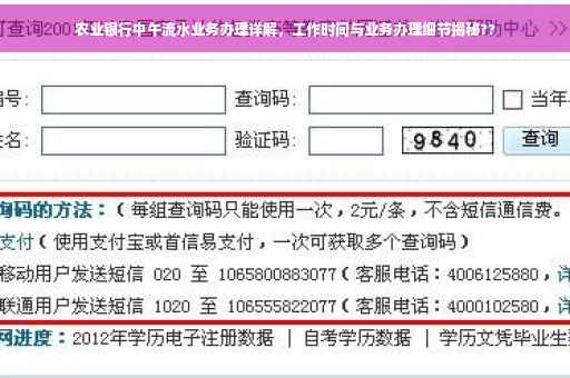 农业银行中午流水业务办理详解，工作时间与业务办理细节揭秘??