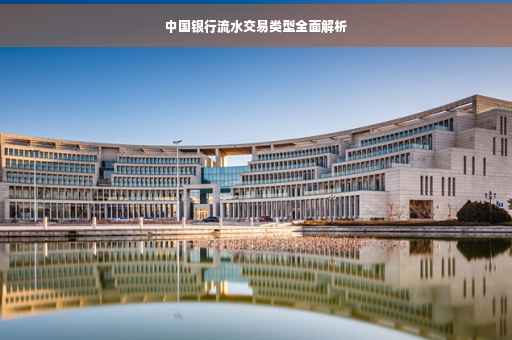 中国银行流水交易类型全面解析