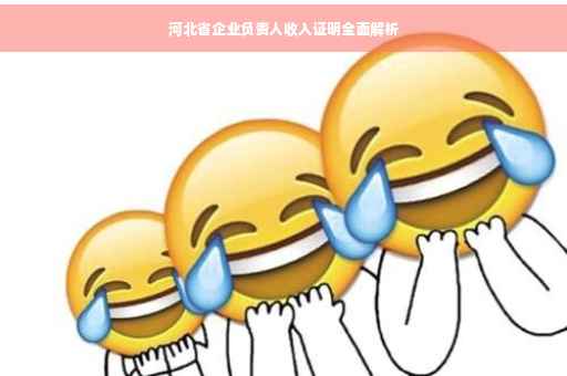 河北省企业负责人收入证明全面解析