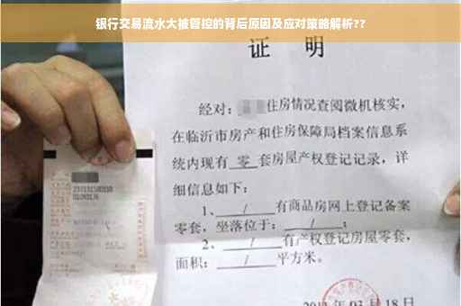 银行交易流水大被管控的背后原因及应对策略解析??