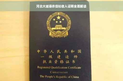 河北大城县农信社收入证明全面解读